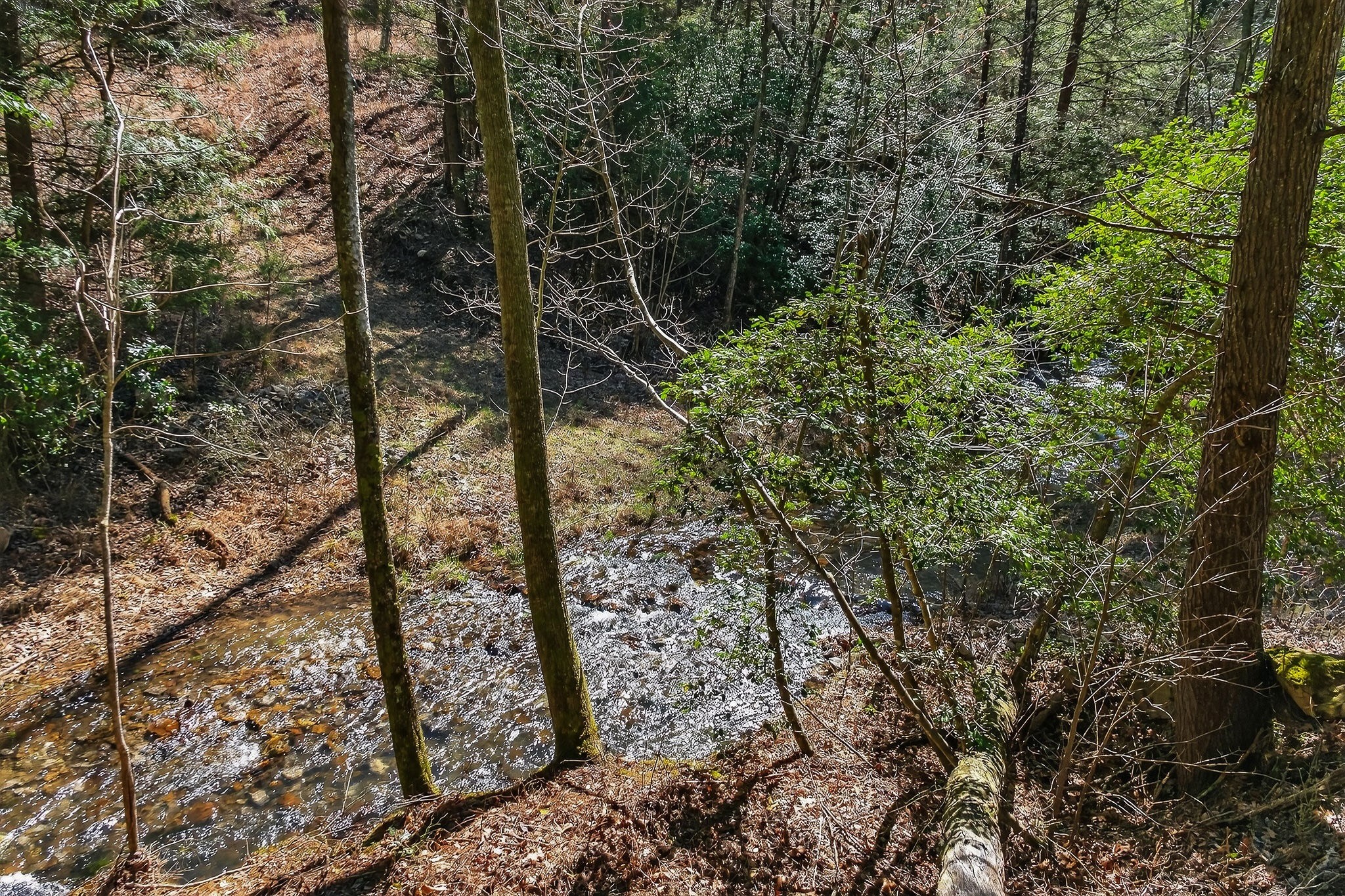 253 Daus Mountain Road Palmer TN 37365