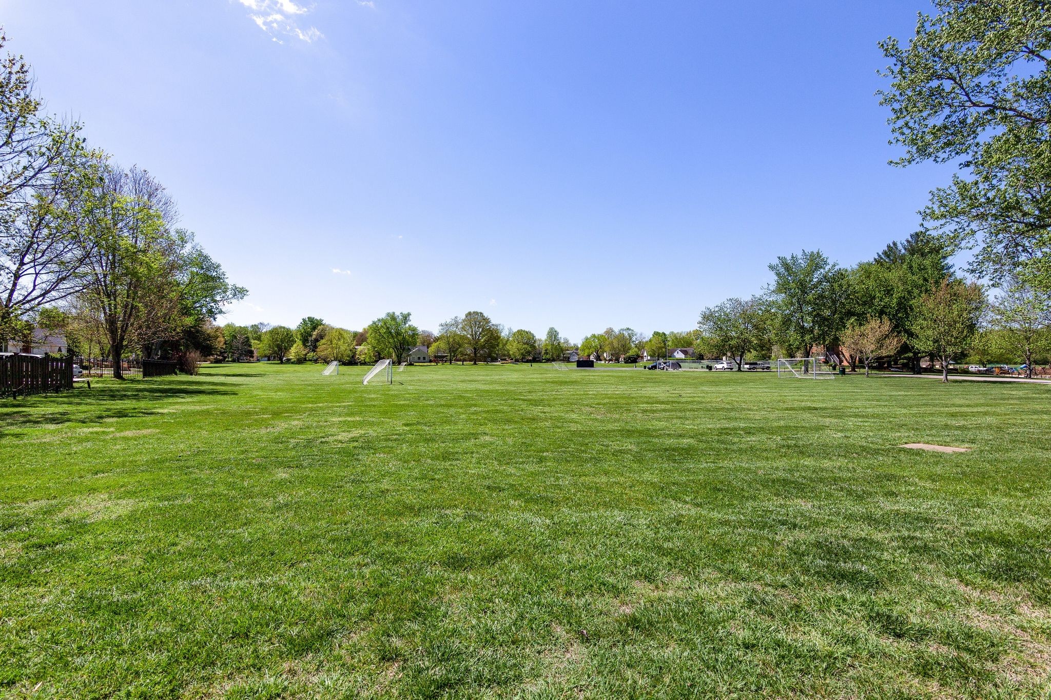 166 Cottonwood Drive Franklin TN 37069