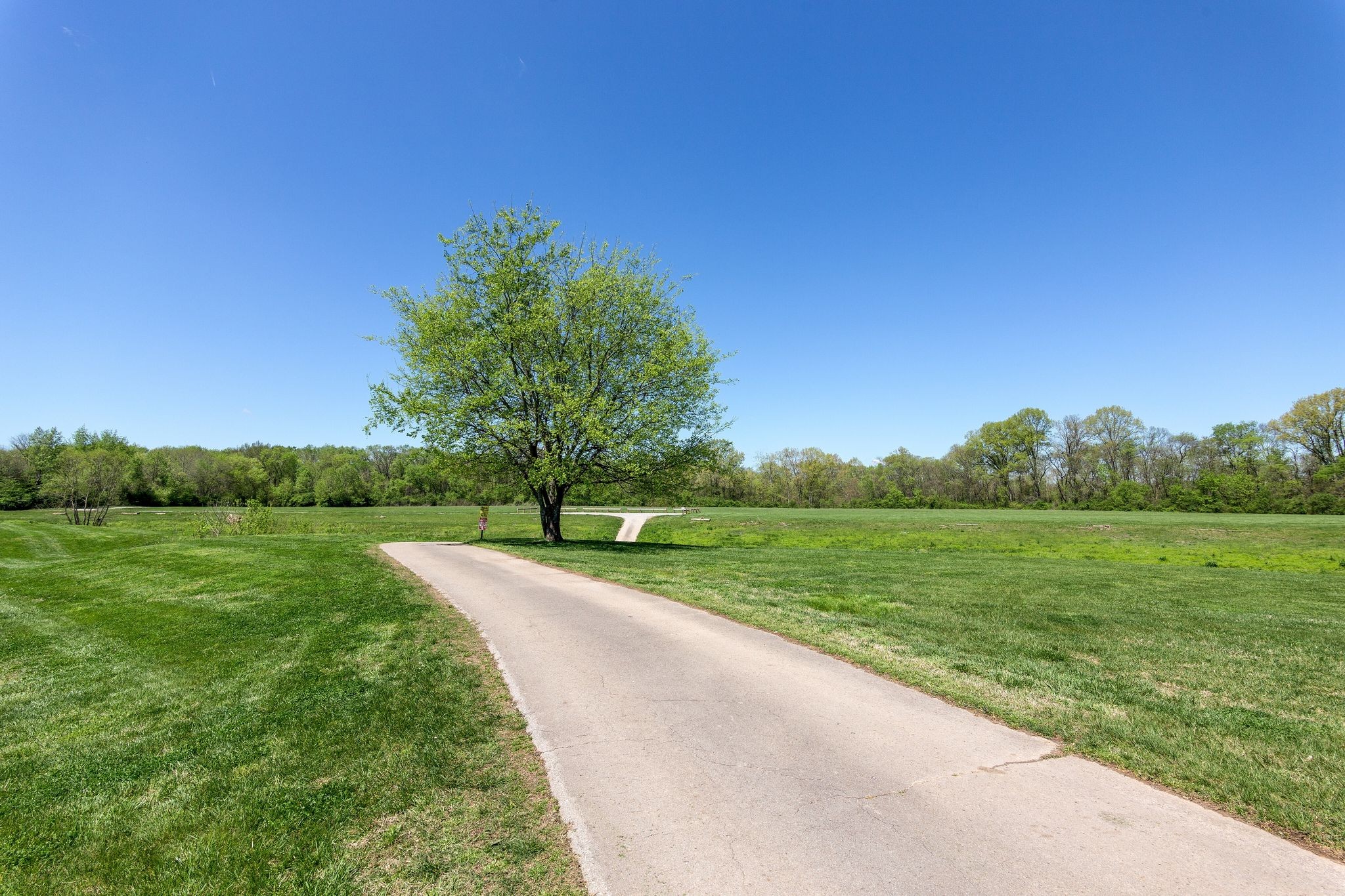 166 Cottonwood Drive Franklin TN 37069