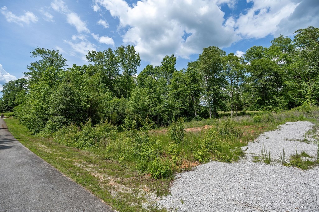 0 Deer View Drive Sparta TN 38583