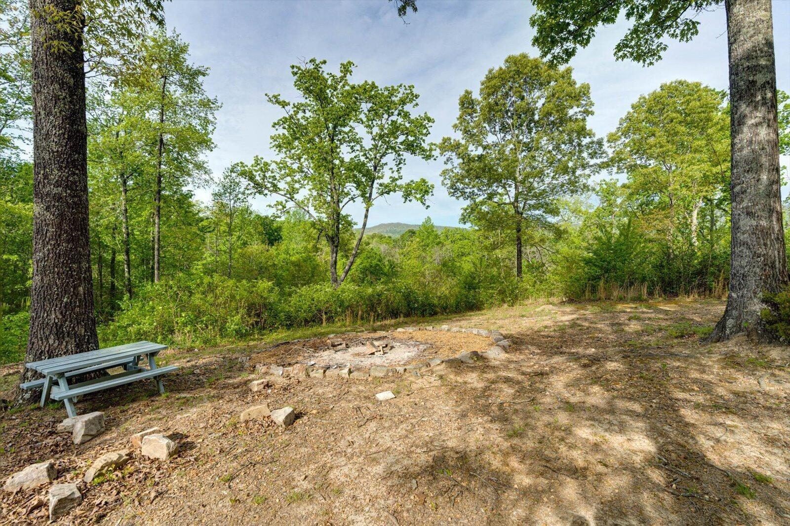 4156 N Marble Top Road Chickamauga GA 30707