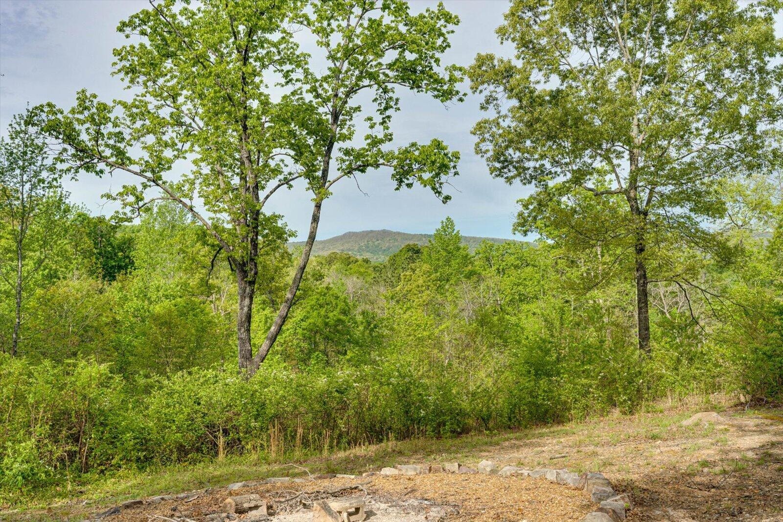 4156 N Marble Top Road Chickamauga GA 30707