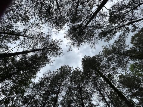 140 Foxtrot Lane Jasper TN 37347