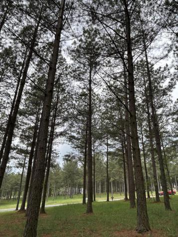 140 Foxtrot Lane Jasper TN 37347