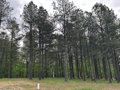 140 Foxtrot Lane Jasper TN 37347