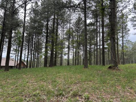 140 Foxtrot Lane Jasper TN 37347