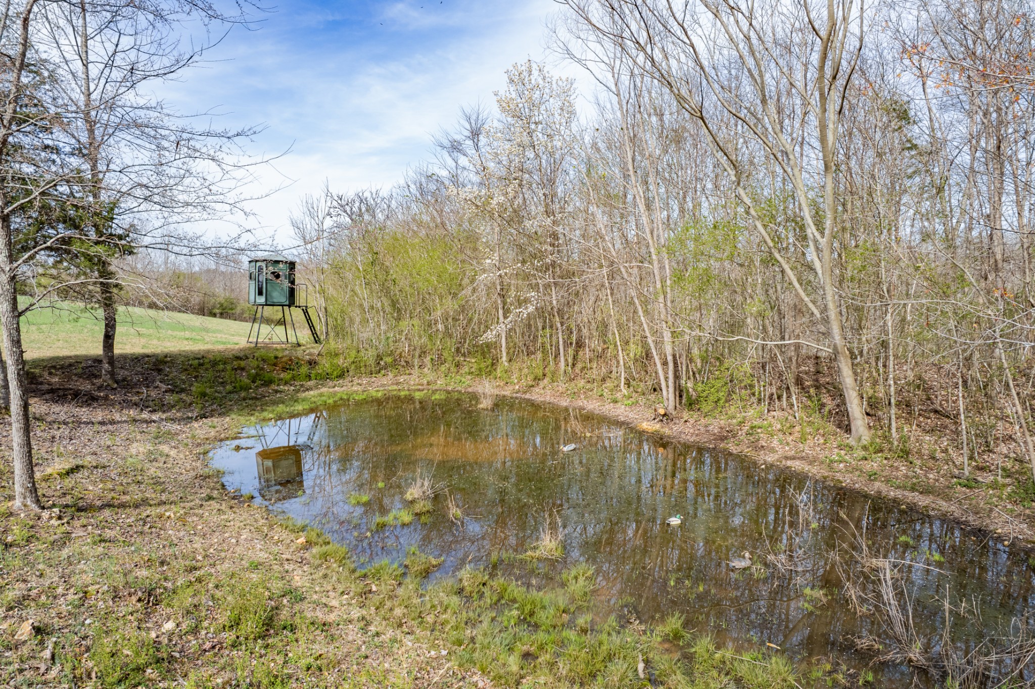 321 Old Sr 48 Centerville TN 37033