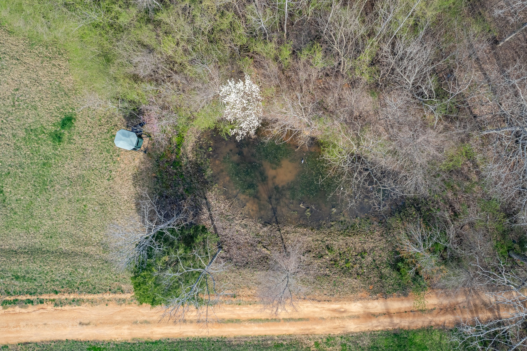 321 Old Sr 48 Centerville TN 37033