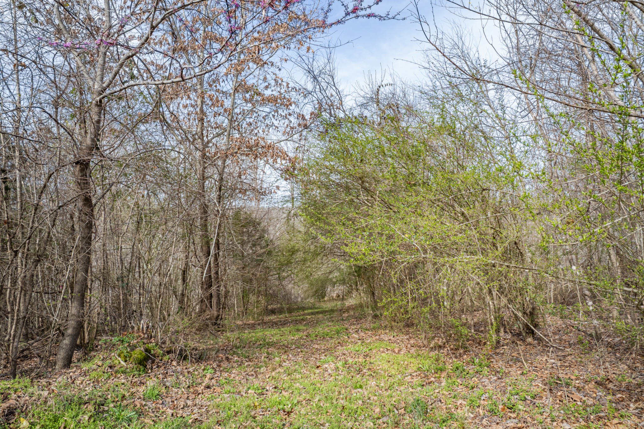 321 Old Sr 48 Centerville TN 37033