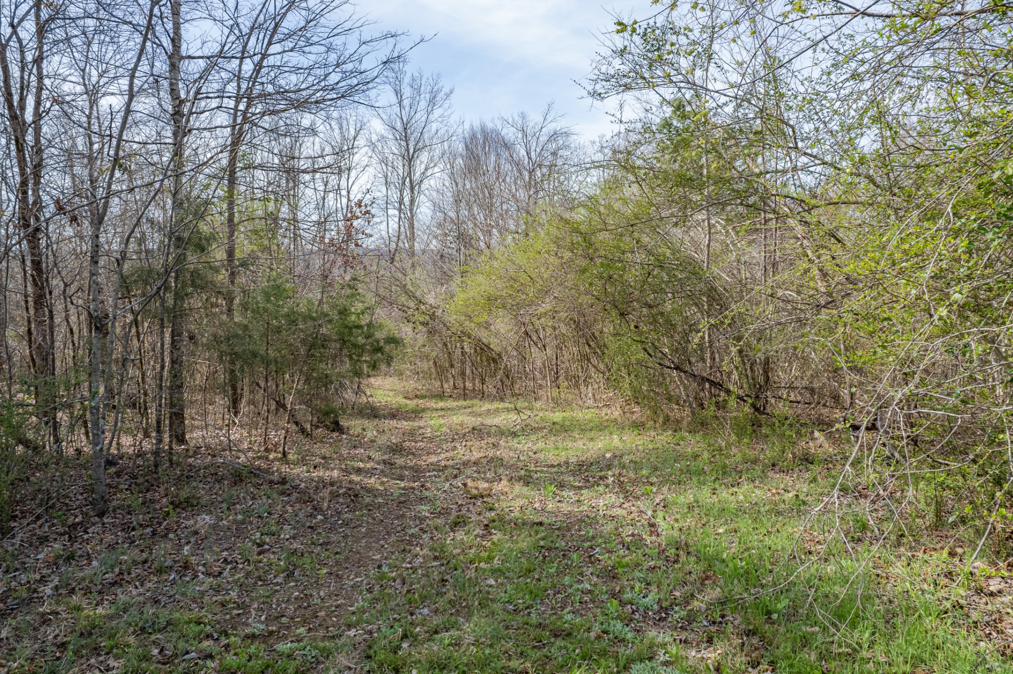 321 Old Sr 48 Centerville TN 37033