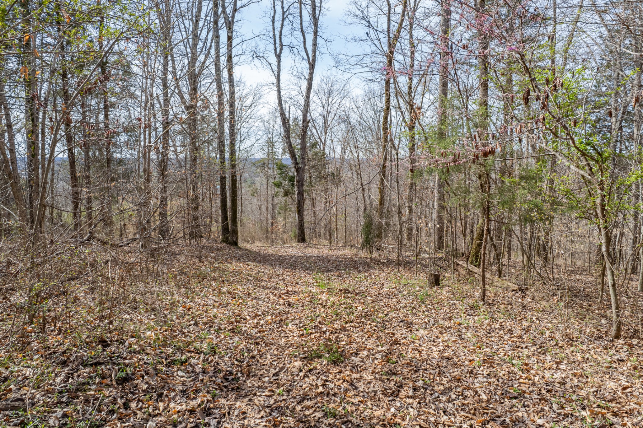 321 Old Sr 48 Centerville TN 37033
