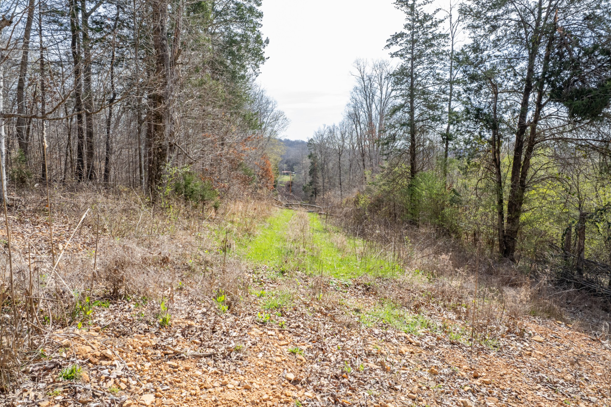 321 Old Sr 48 Centerville TN 37033