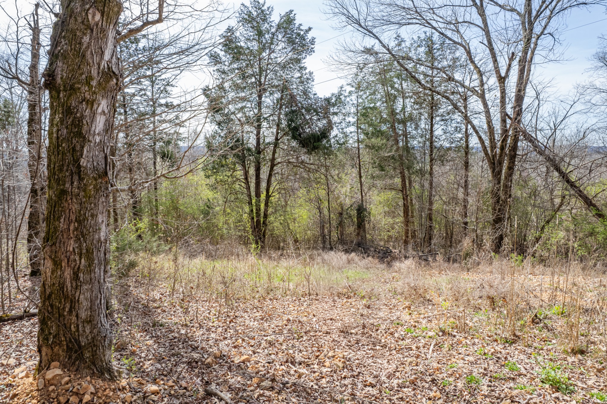 321 Old Sr 48 Centerville TN 37033