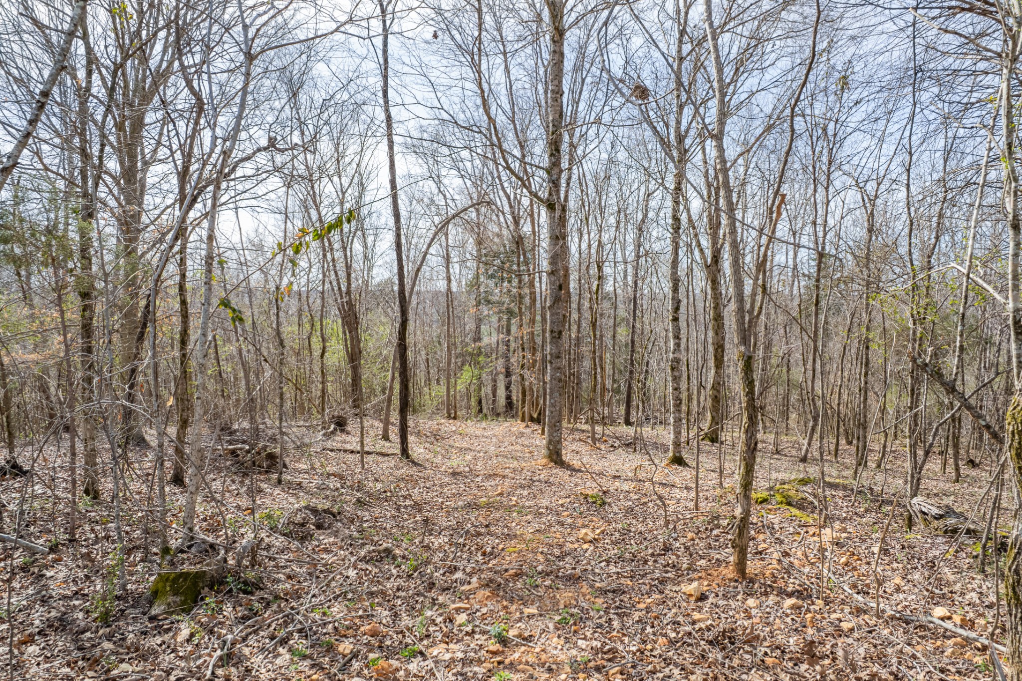 321 Old Sr 48 Centerville TN 37033