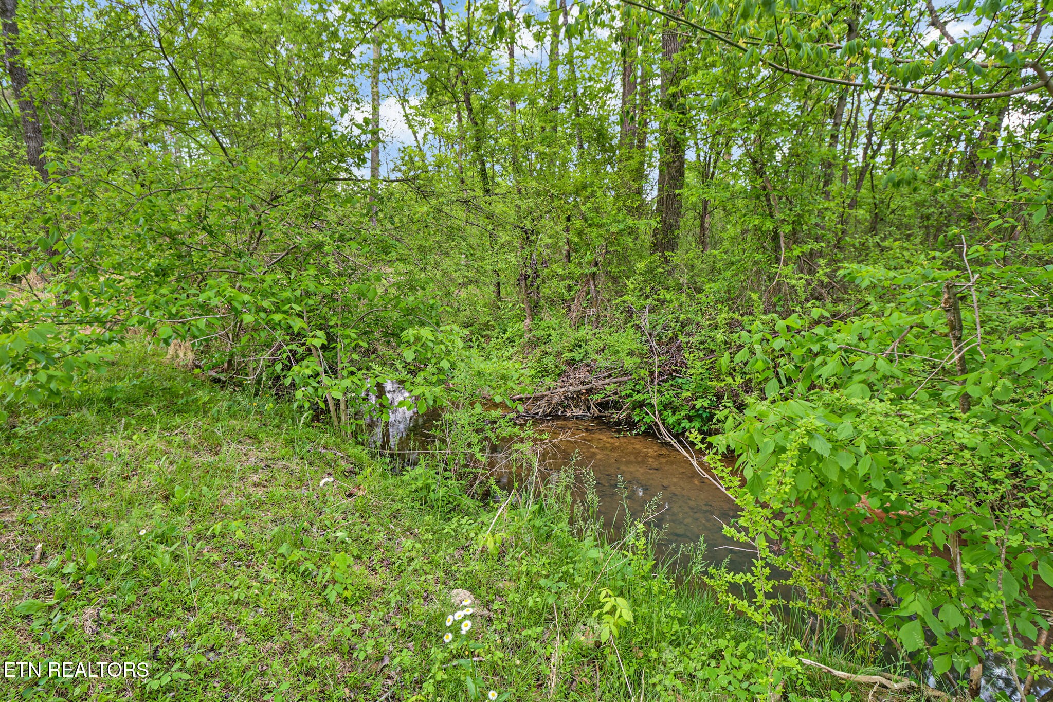 148 Porter Lane Spring City TN 37381