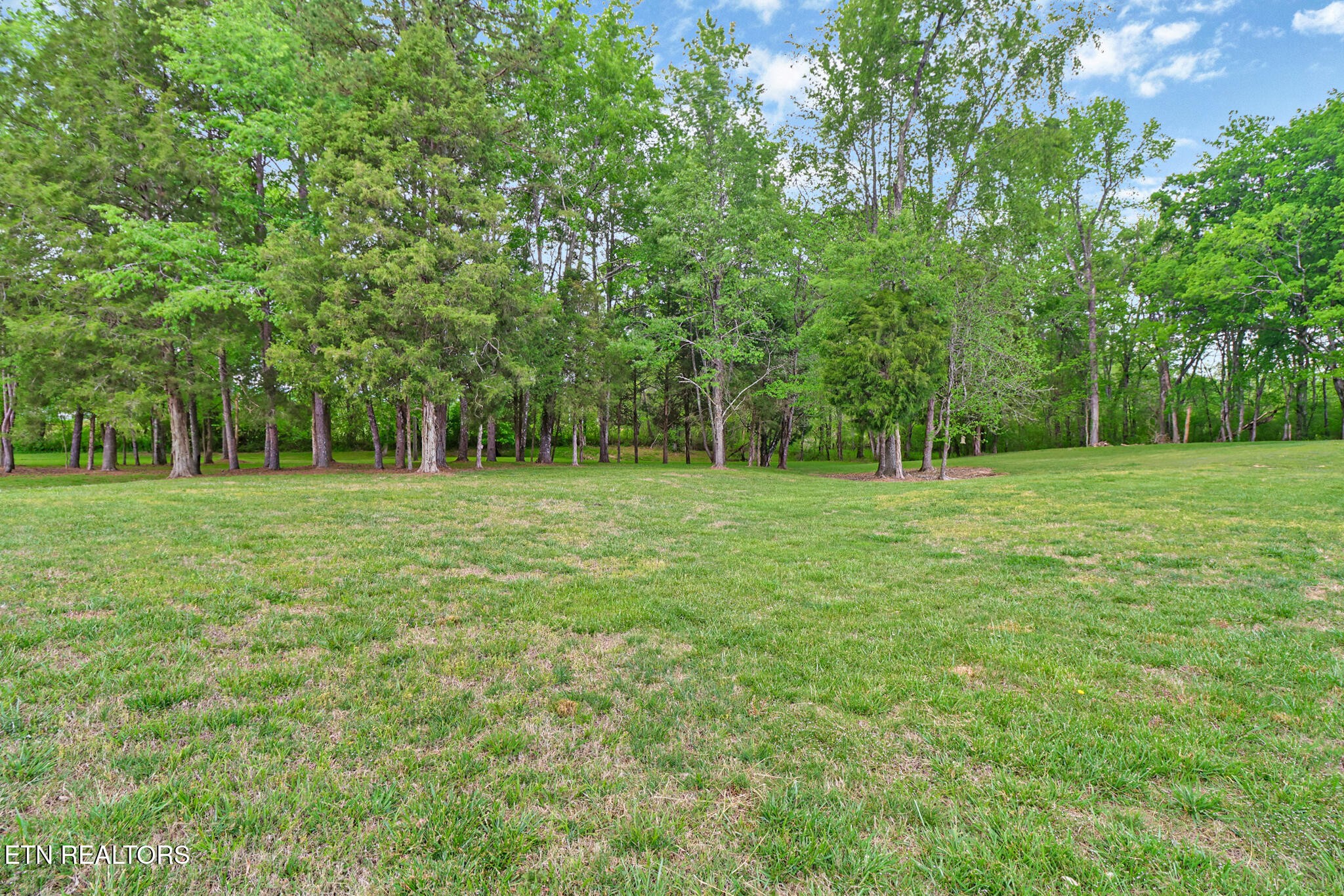148 Porter Lane Spring City TN 37381