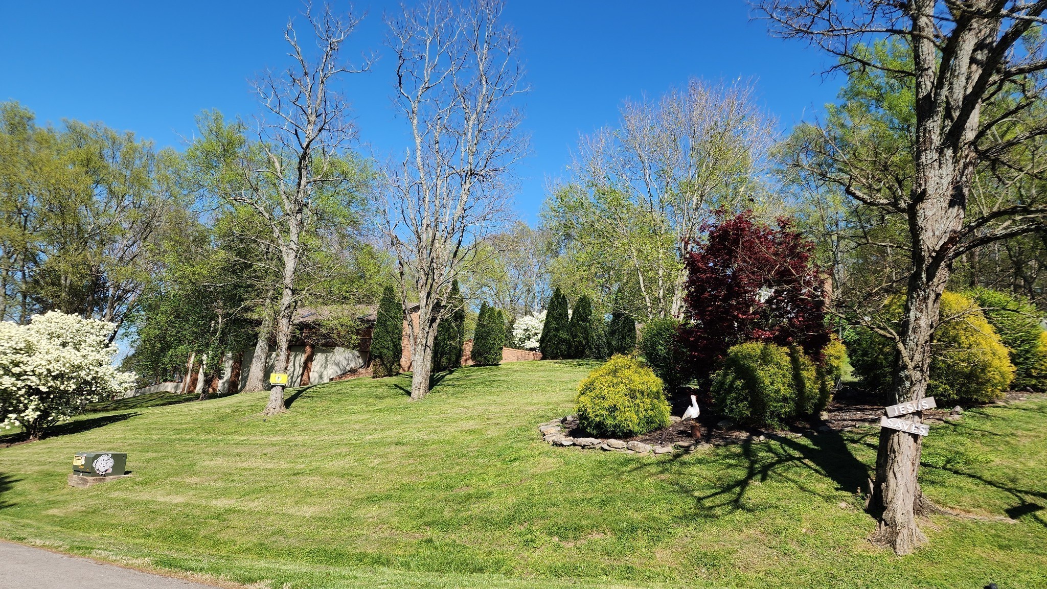 204 Hogan Lane Columbia TN 38401