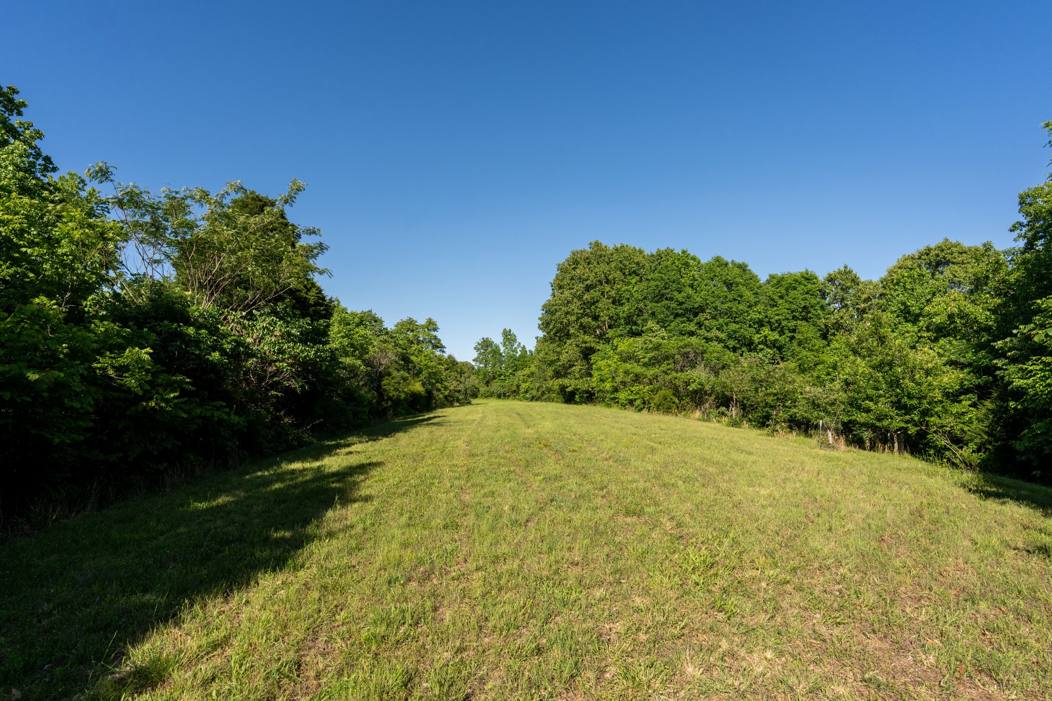 307 Frey Street Ashland City TN 37015