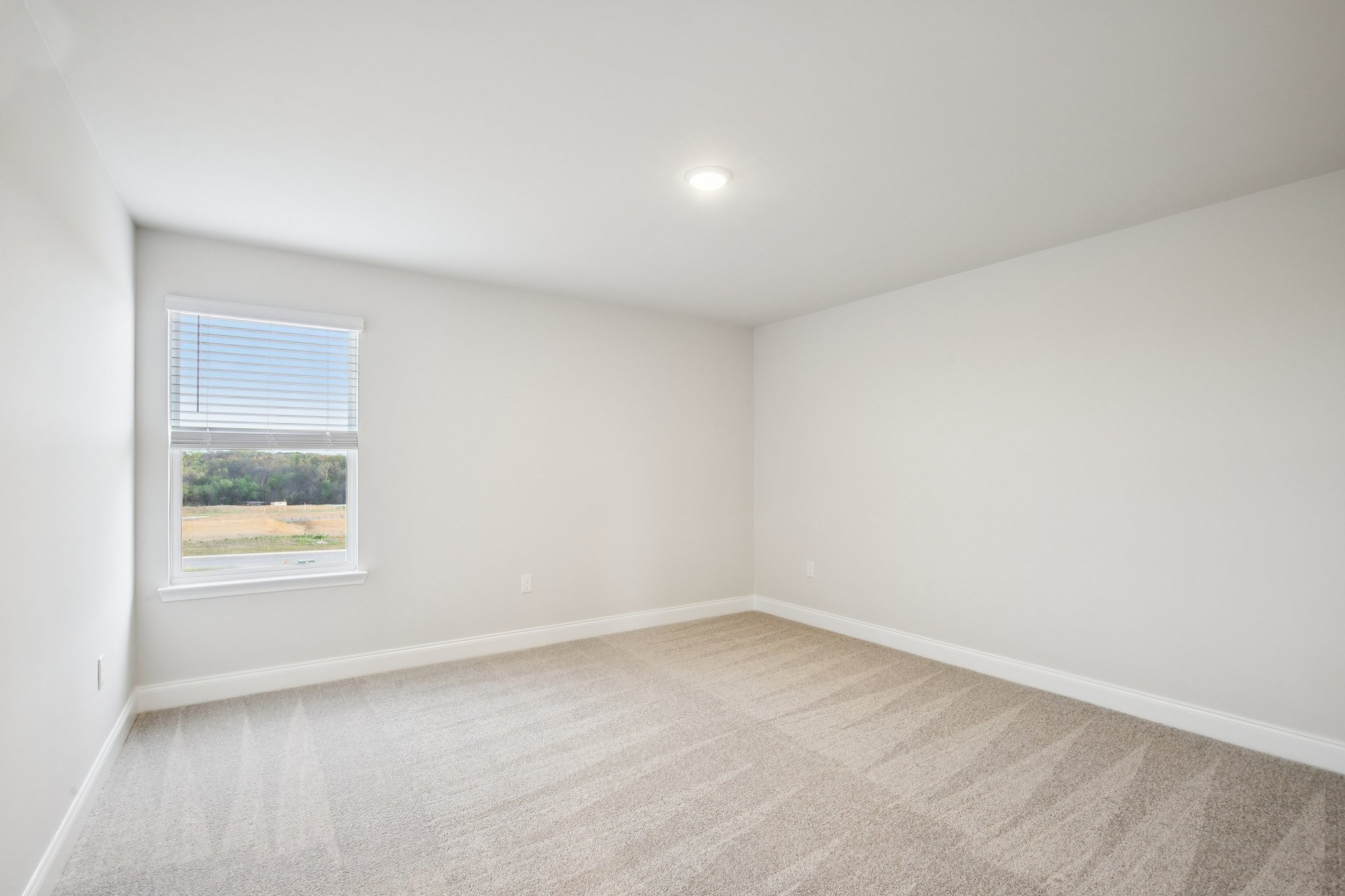 1090 Large Poppy Drive La Vergne TN 37086