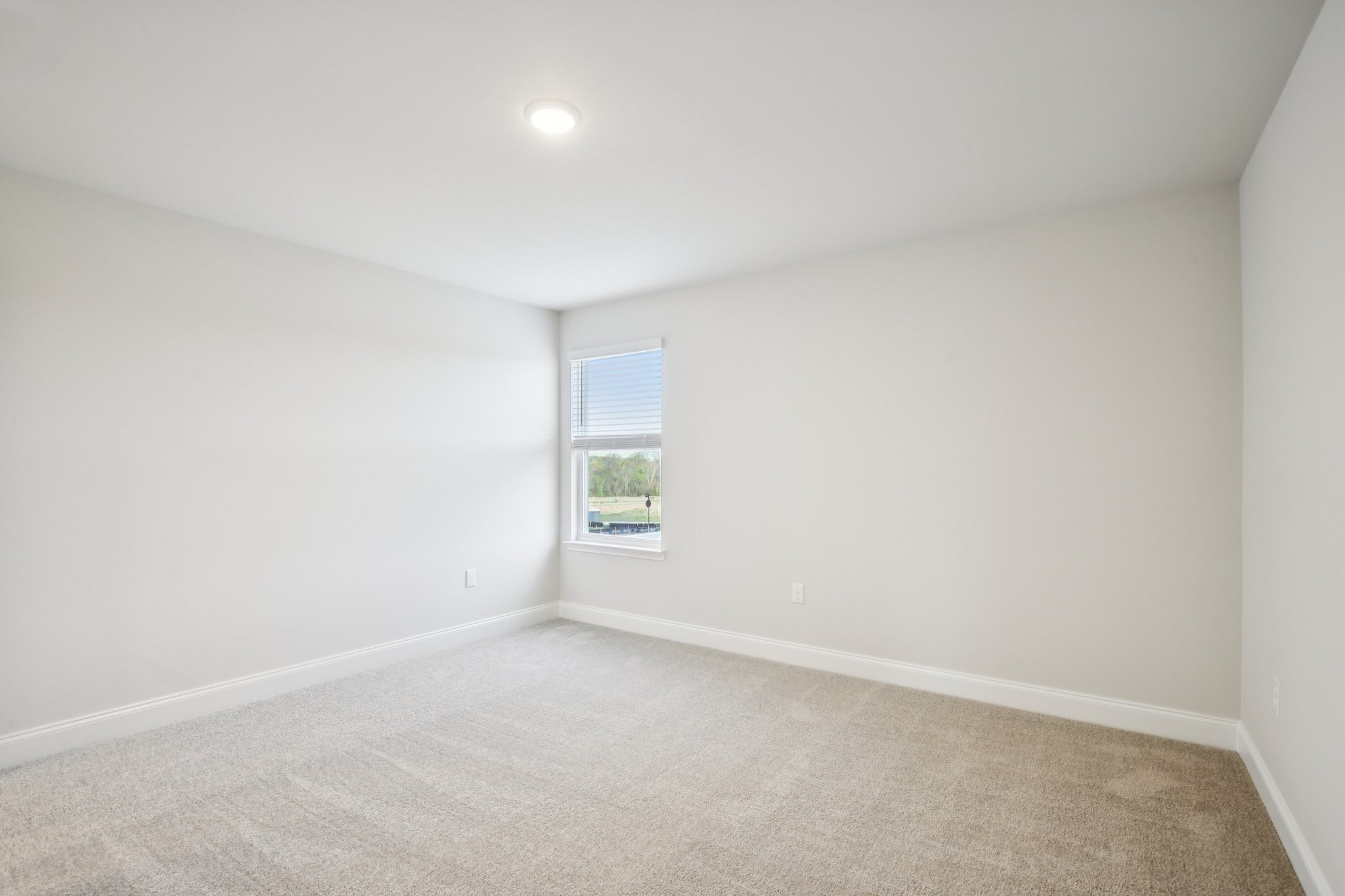 1090 Large Poppy Drive La Vergne TN 37086