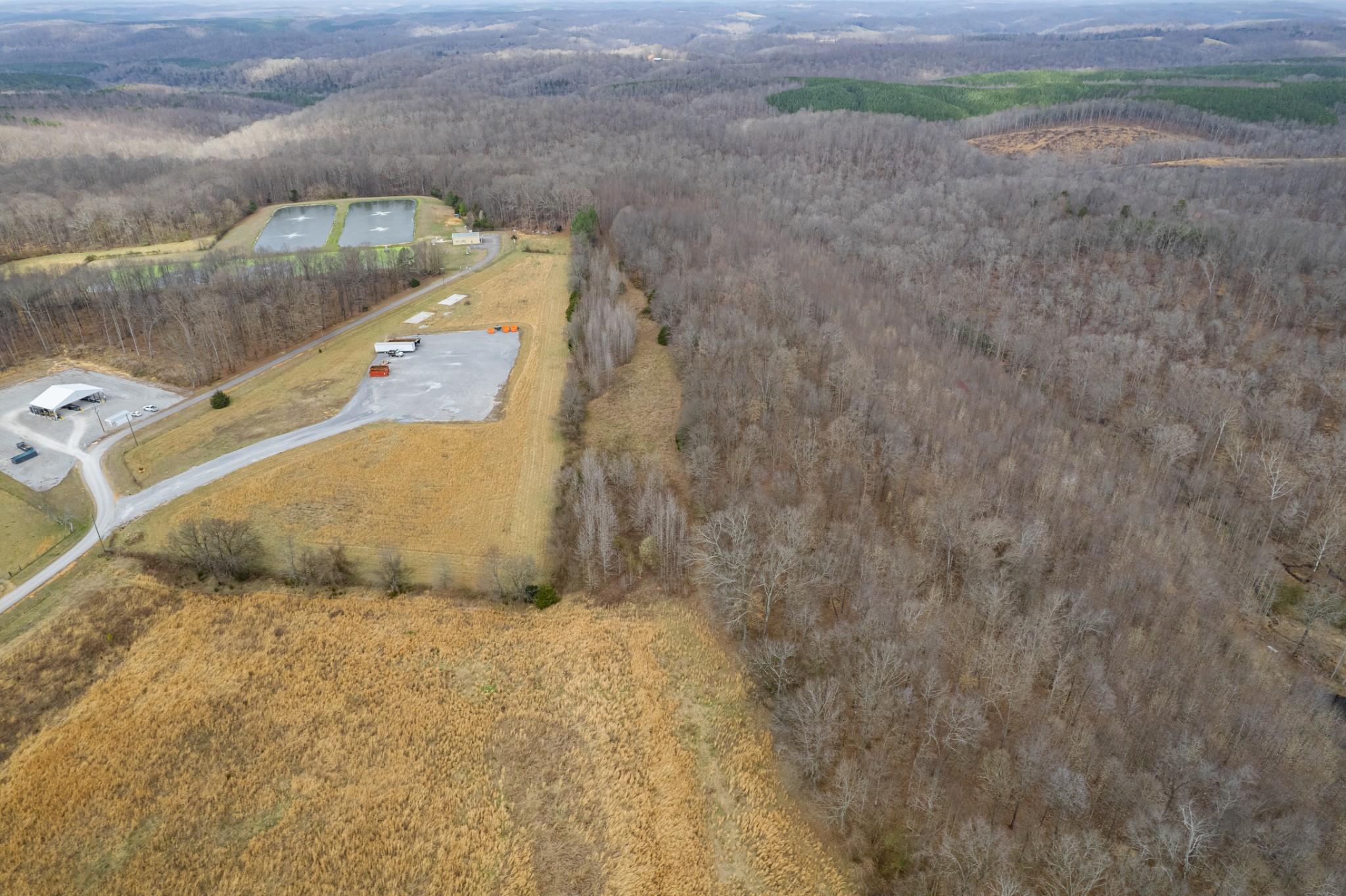 1 Busby Road Loretto TN 38469