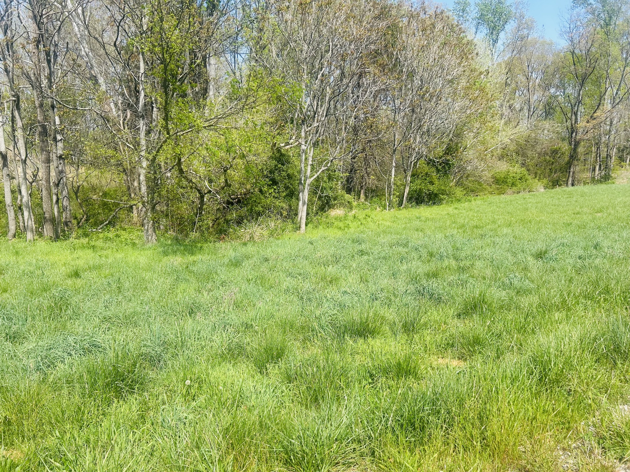 0 Hidden River Road Rock Island TN 38581