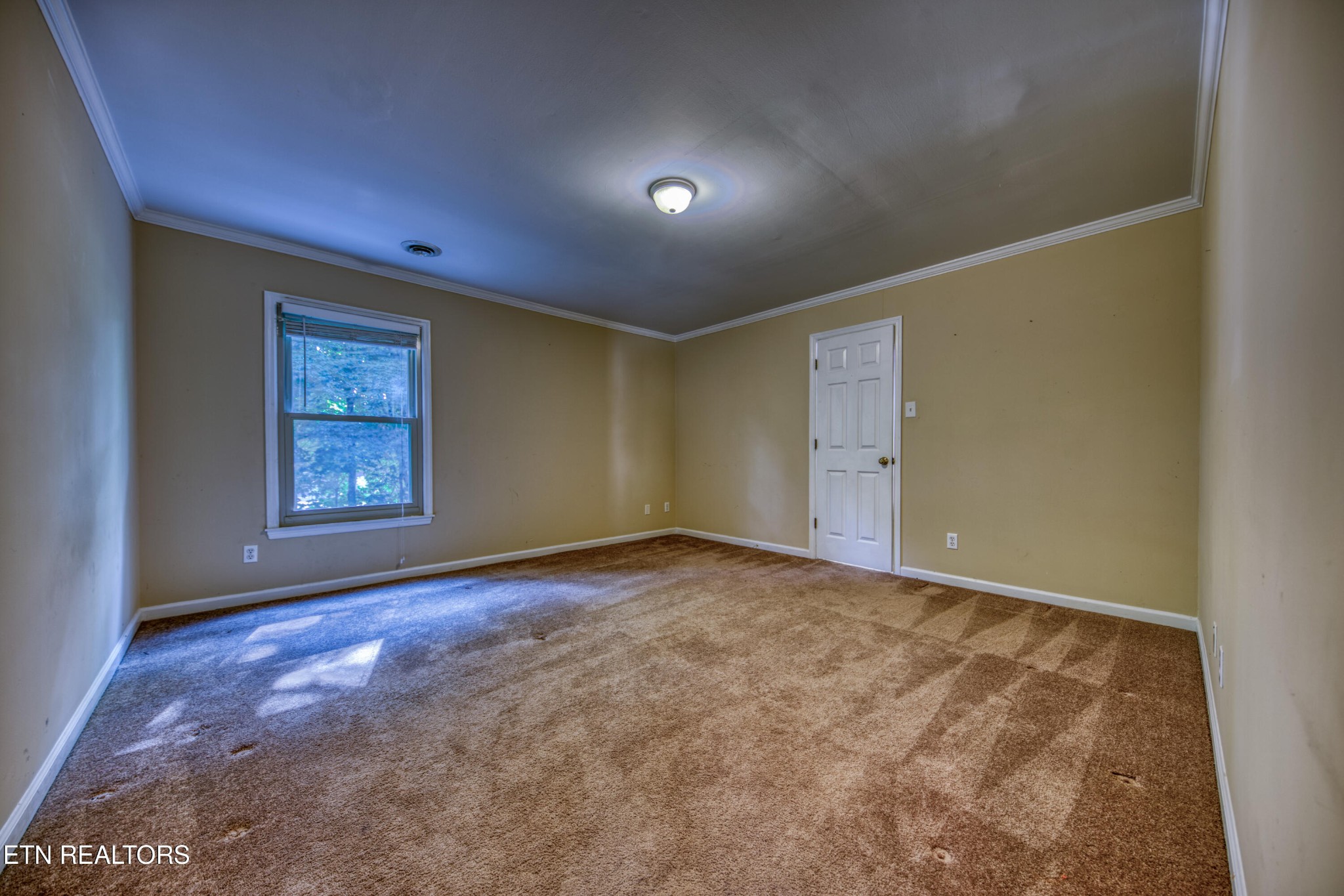 8901 Straw Flower Drive Knoxville TN 37922