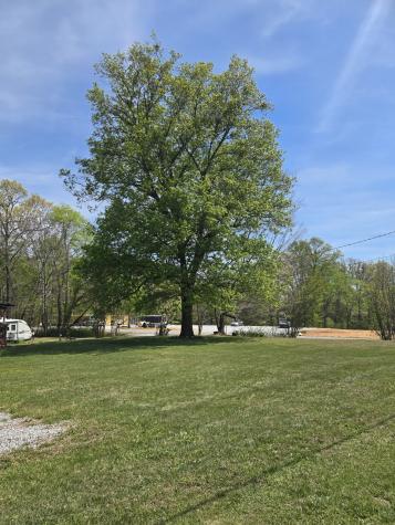 1605 New Dry Hollow Road Vanleer TN 37181
