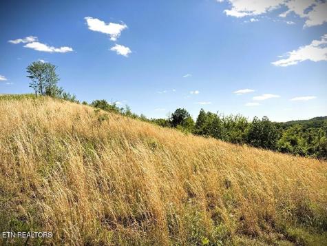 100 Mallard Lane Hilham TN 38568