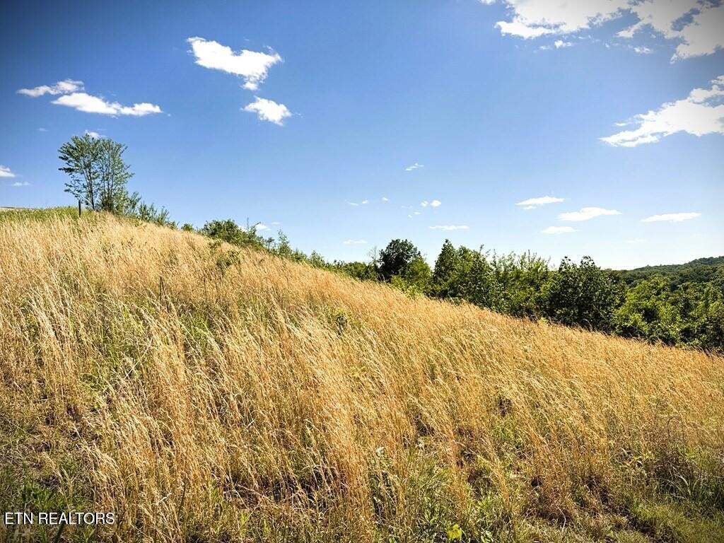 100 Mallard Lane Hilham TN 38568