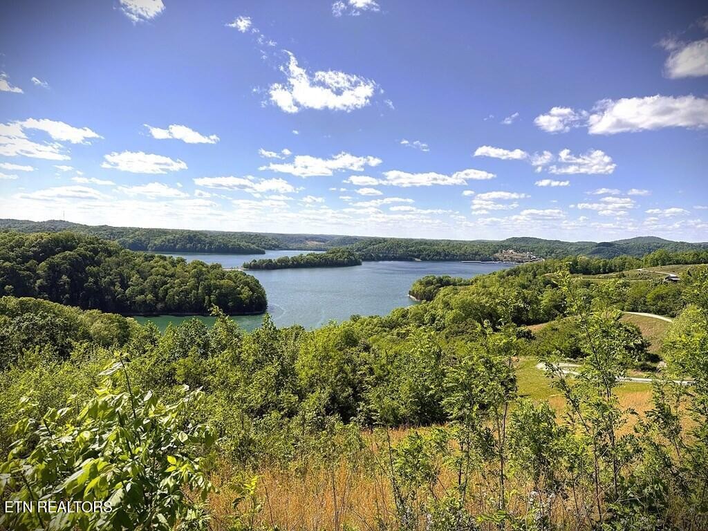 100 Mallard Lane Hilham TN 38568