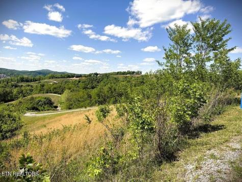 100 Mallard Lane Hilham TN 38568