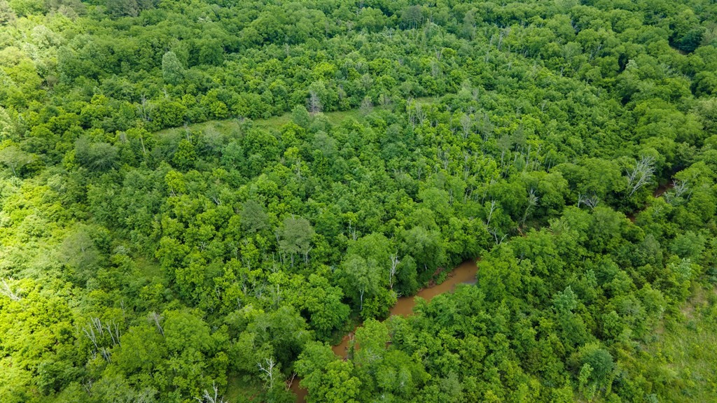 3 State Highway 163 Calhoun TN 37309