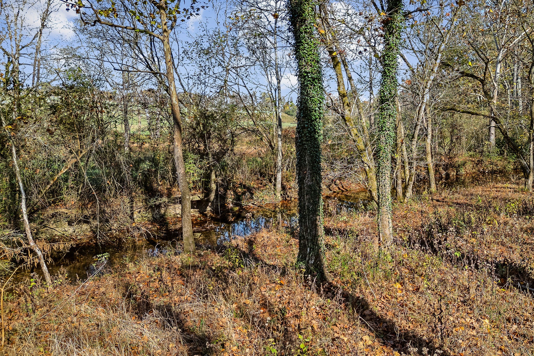 408 W Main Street Smithville TN 37166