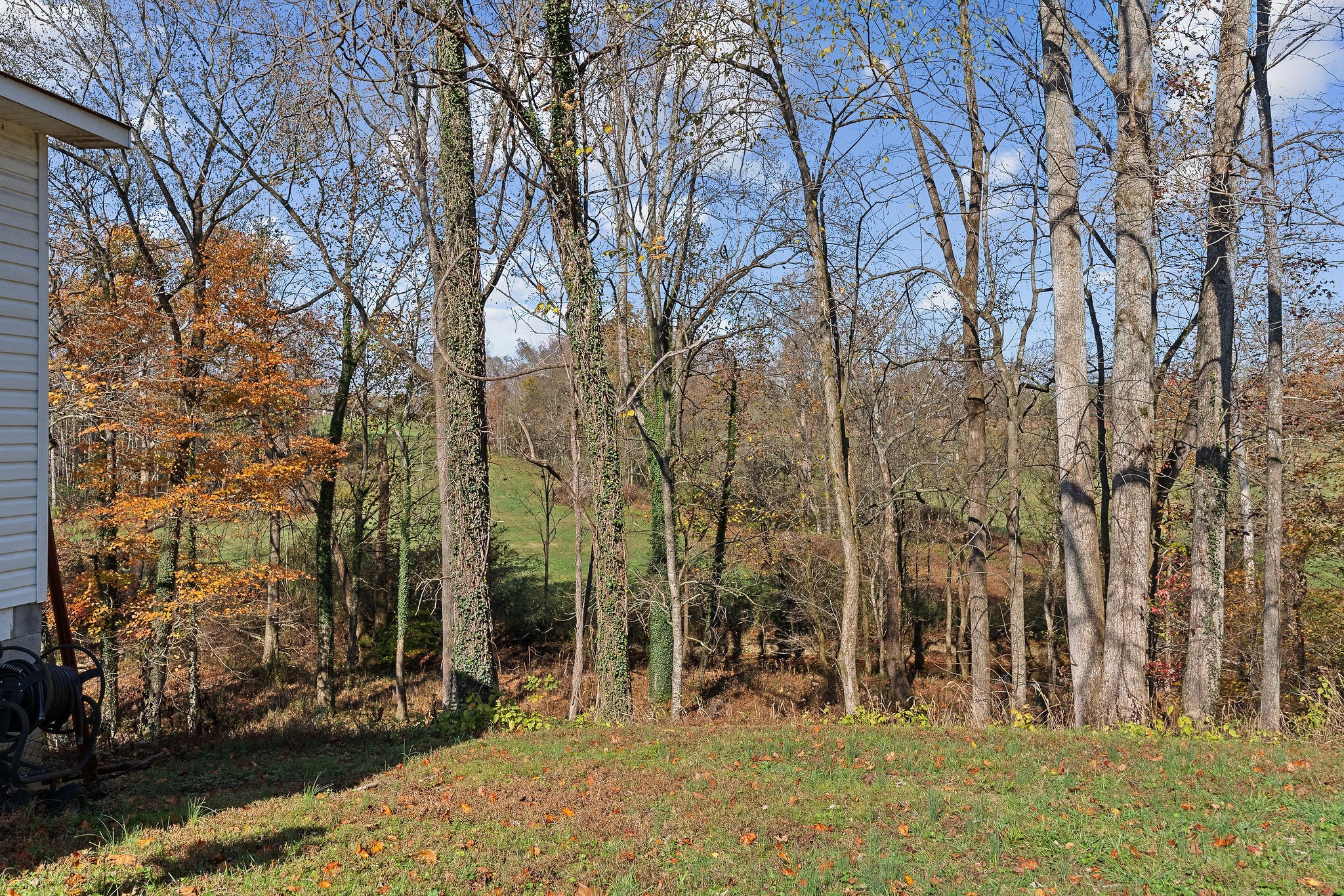 408 W Main Street Smithville TN 37166