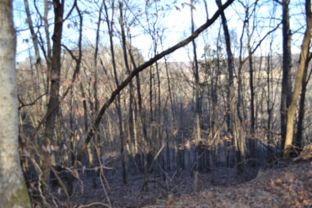 0 Cabin Hill Road Celina TN 38551