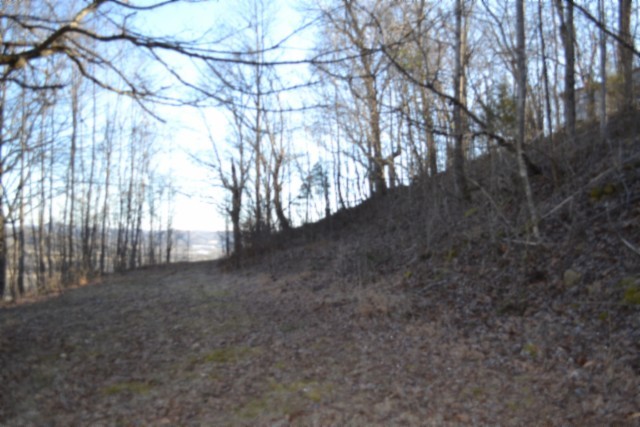 0 Cabin Hill Road Celina TN 38551