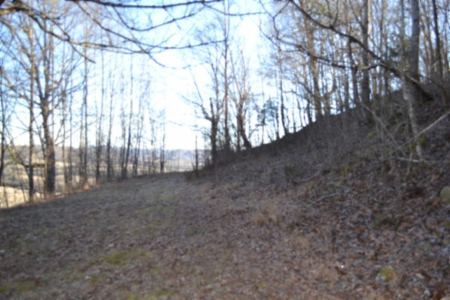 0 Cabin Hill Road Celina TN 38551