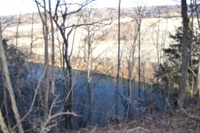 0 Cabin Hill Road Celina TN 38551