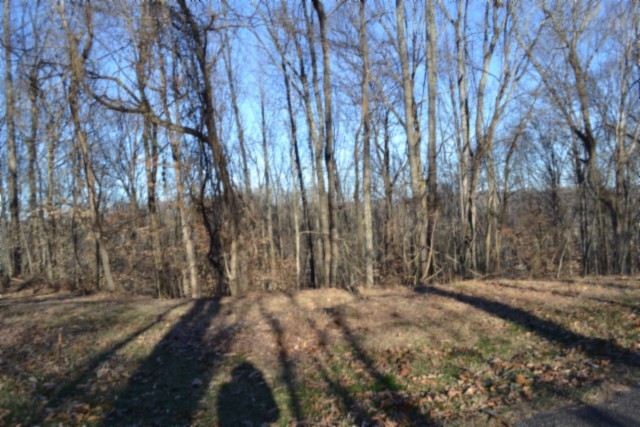 0 Cabin Hill Road Celina TN 38551