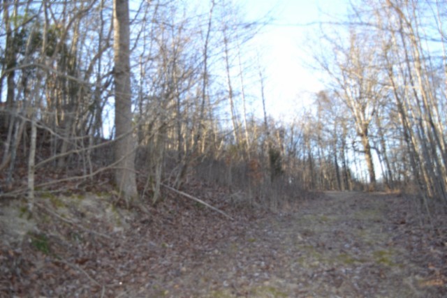 0 Cabin Hill Road Celina TN 38551