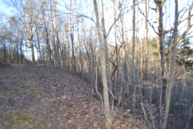 0 Cabin Hill Road Celina TN 38551