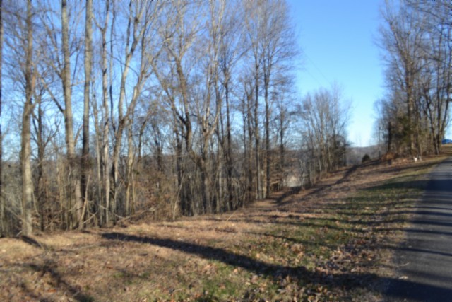 0 Cabin Hill Road Celina TN 38551
