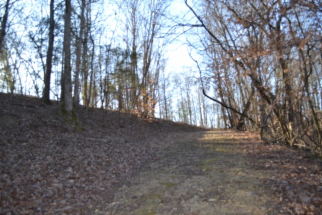 0 Cabin Hill Road Celina TN 38551