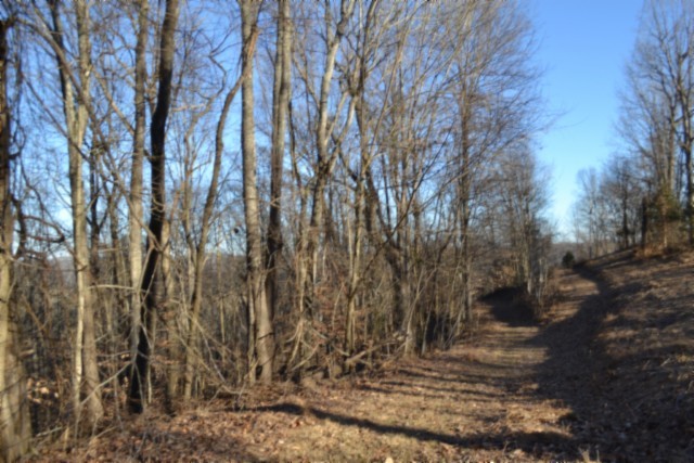 0 Cabin Hill Road Celina TN 38551