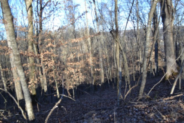 0 Cabin Hill Road Celina TN 38551