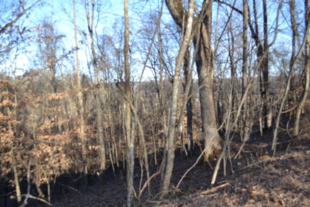 0 Cabin Hill Road Celina TN 38551