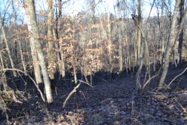 0 Cabin Hill Road Celina TN 38551