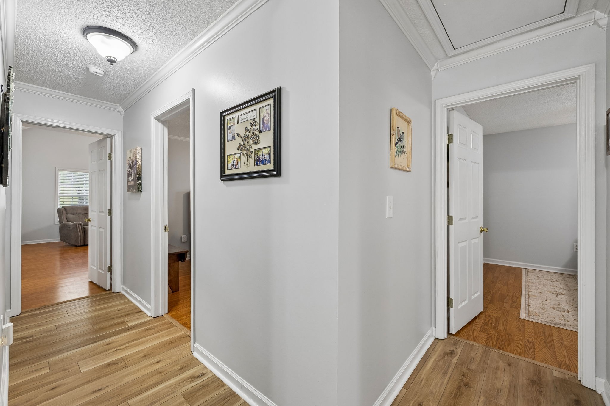 2040 Wild Cherry Court Lewisburg TN 37091