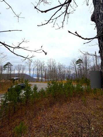 0 Wohalie Lane South Pittsburg TN 37380